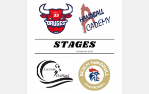 BRUGES HANDBALL ACADEMY